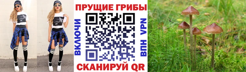 Галлюциногенные грибы Magic Shrooms  Михайловка 