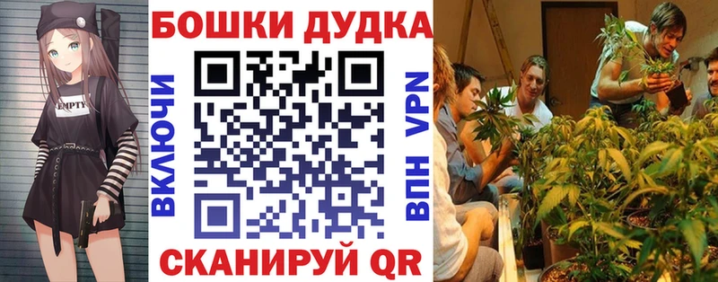 кракен маркетплейс  Михайловка  Марихуана план 